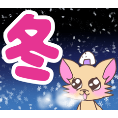 rice ball Chihuahua40winter Event