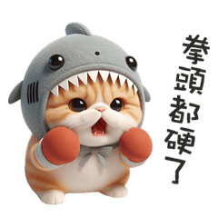 shark cat murmur5