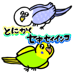 JustBudgerigar