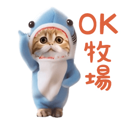 *dance! dancing shark cat