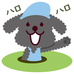 Toy poodle playing golf(Black)