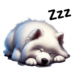 Samoyed feelings