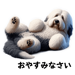 Old English Sheepdog feelings