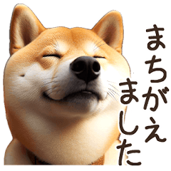 Shiba Inu [Real03]Quite useful honorific