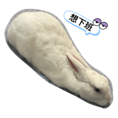 我家ㄇㄨㄚˇ吉❤️❤️