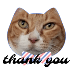 kochibi_20241006001256