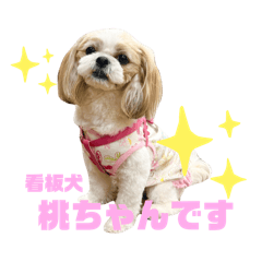 KANBAN DOG MOMOchan!