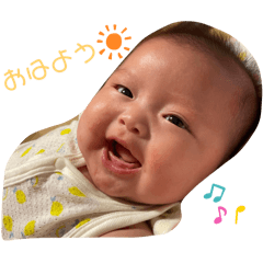 tomam_20241006073231