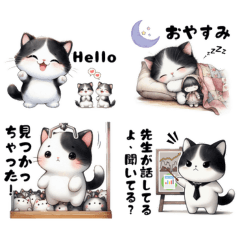 Cat - Xiao Miao's Cuteness Overload (JP)