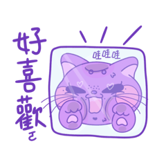 softcat A.K_20241006011225