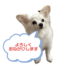 sayuri_20241006115800