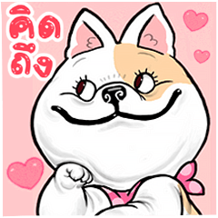 คากิ บิ๊กสติกเกอร์