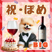 [BIG]Celebrate at Pomeranian