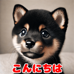 Teary-Eyed Kuro Shiba Stickers