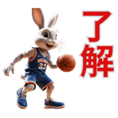 Rabbit x Basketball! Cute!