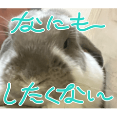 kumachan_20241006201809