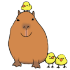 (Chinese)Cute Capybaras