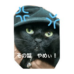 Black cat jiji stamp