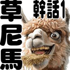 Alpaca humorousand sarcastic work terms1