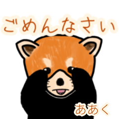 Aaku's lesser panda