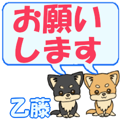 Otsufuji's letters Chihuahua2