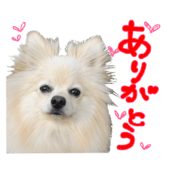 kay_20241006235838