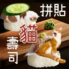 cat collage sushi