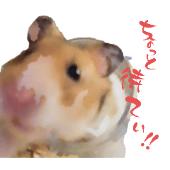 hamster(young animal)