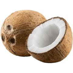 COCONUT NIU STICKER