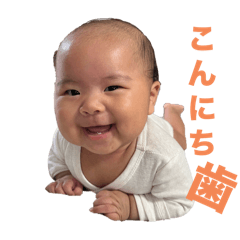 Ayame_20241006154645