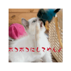 mona_mona_ugoku