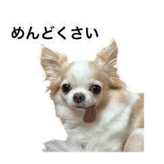 Onechan_20241007143831