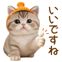 scottish fold and orange sticker keigo