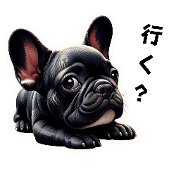 Cute french bulldog feelings