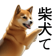 柴犬で返信！