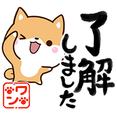 Chibi Shiba59