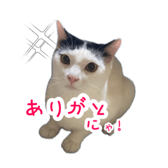 kayo_20241006193550