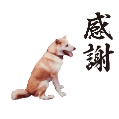 スタンプ NO.5 - LINE スタンプ | LINE STORE