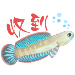 觀魚水族-幻想雷龍魚貼圖第1彈