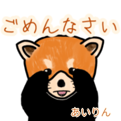 Airin's lesser panda