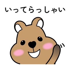 pretty Quokka daily life-part1