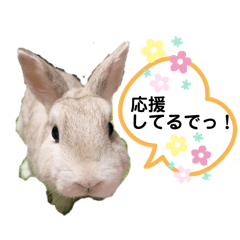 Housemate of Chiyochan_20241007202344