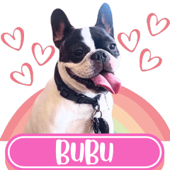 WOOFME WITH BUBU