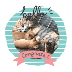 youkou_20241008022529