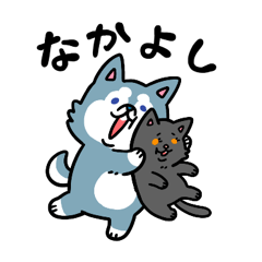 stupid dog&cool cat