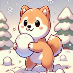 shiba-dog_winter