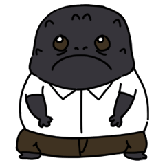 The unfair-looking rain frog, Kuroame