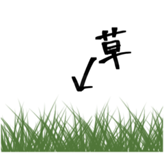 amairo_20241007171958