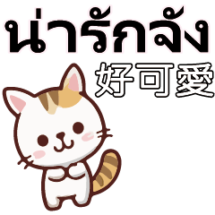 HappyCuteZooaAnimalsThai Thailland