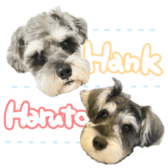 Hank&Haruto@uchinoko.deart